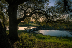 Houston Farm and Ranch Photography - Houston 360 Photography
