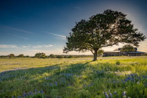 Central Texas Ranch Photography - Houston 360 Photography
